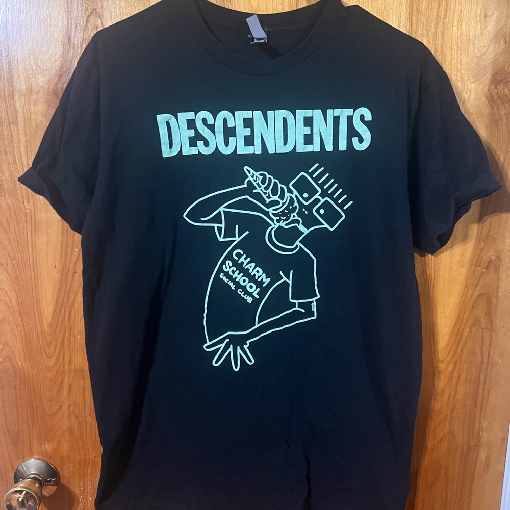 Descendents Graphic Band Tee in Black with Mint Print
